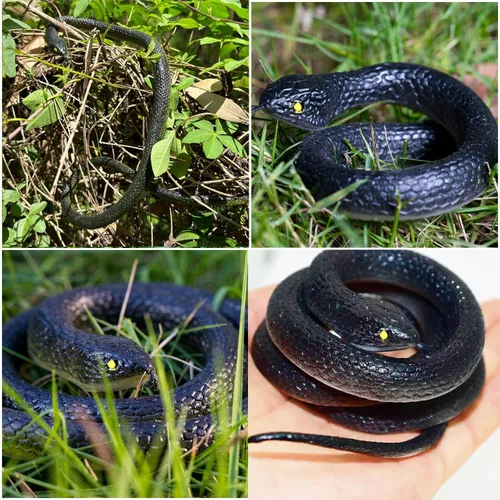 Miniatura 4 de 6 piezas de serpientes de goma grandes realistas de plástico falso, juguetes de serpiente para mantener a los pájaros alejados para accesorios