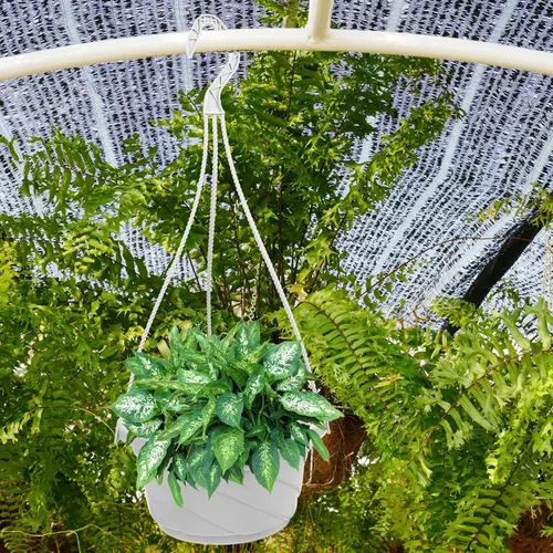 Miniatura 8 de DOITOOL 10 macetas colgantes de plástico, macetas colgantes de 6.29 pulgadas, maceta para plantas de interior y exterior, decoración de jardín