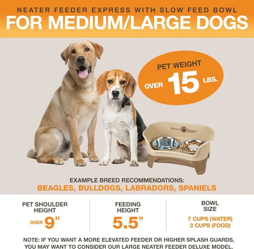 Miniatura 4 de Neater Feeder Express - Cuencos para perros medianos o grandes, color capuchino, paquete que incluye cuenco de alimentación lenta Capuccino