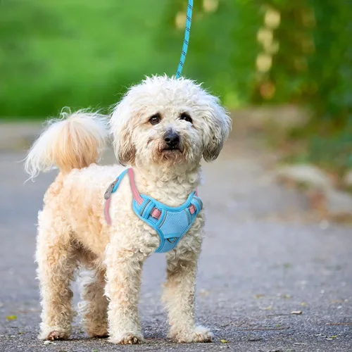 Miniatura 9 de BARKBAY Arnés para Perro Sin Tirones Talla Grande Arnés Reflectante para Perro con Clip Frontal y Asa de Control Fácil para Caminar Entrenar Correr