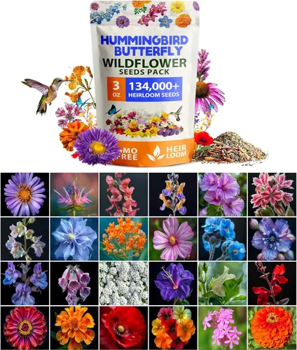 Miniatura 58 de HOME GROWN Semillas de calabaza 5 variedades, mezcla de 40+ reliquia sin OMG, alta germinación, campo de Connecticut, azul, blanco y mini calabazas