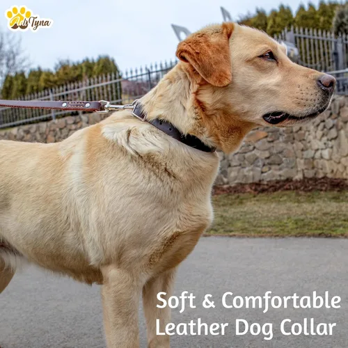 Miniatura 4 de Adityna - Collar de perro de cuero negro para perros grandes - Estilo clásico, suave y fuerte, collar de cuero de grano superior resistente