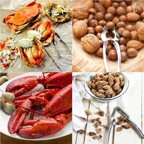Miniatura 6 de Juego de 3 galletas de cangrejo y mariscos de acero inoxidable para mariscos, mariscos y mariscos para mariscos, conchas de cangrejo y agrietamiento