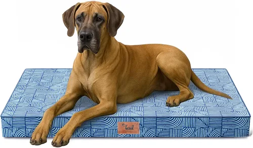 Miniatura 50 de Cama ortopédica de felpa para perros y cachorros medianos, camas impermeables para perros de 30 x 20 pulgadas con funda extraíble lavable, tapete