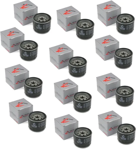The ROP Shop | Juego de 12 filtros de aceite para láser 93097, 93123, 93278, New Holland 1205001, 492932