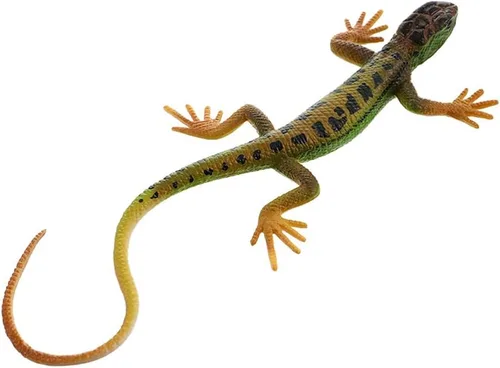 NUOBESTY Figura de lagarto falso de juguete de plástico de lagarto figura de acción de reptil juguete para colección ciencia educativo (verde)