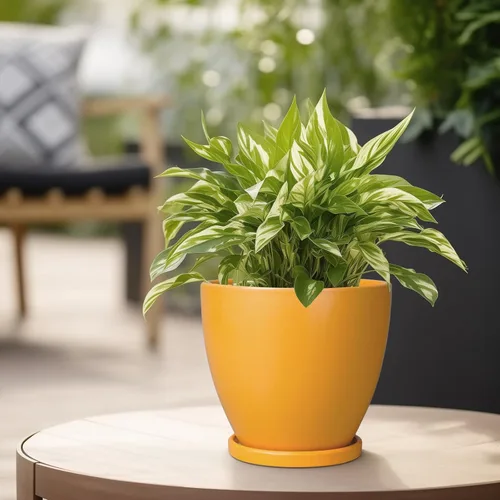 Miniatura 5 de Maceta para Plantas de 6.8 Pulgadas - Maceta de Cerámica con Orificio de Drenaje y Platillo, Maceta Redonda Moderna para Flores, Macetas