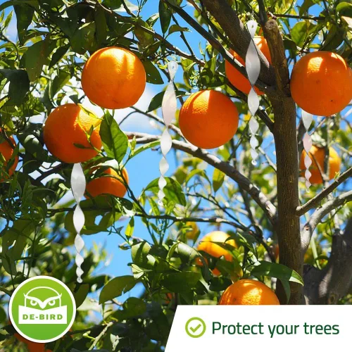Miniatura 5 de De-Bird Varillas acrílicas para asustar pájaros, disuasorio reflectante y repelente de aves al aire libre, disuasorio humano de árboles frutales
