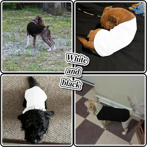 Miniatura 4 de Paquete de 2 camisas para perros de color liso, ligeras, de secado rápido, transpirables, camisetas para mascotas para perros pequeños a grandes