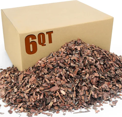 Miniatura 13 de Corteza orgánica para macetas de orquídeas de 3 cuartos - Mantillo natural para plantas en maceta, desarrollo de raíces de plantas de orquídeas