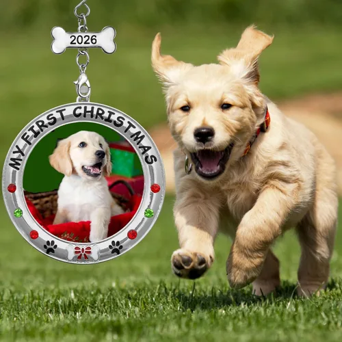 Miniatura 4 de My First Christmas - Adorno personalizado para foto de perro – 2025 con fecha – Adorno personalizado para cachorro – Joyas, dije de hueso fechado