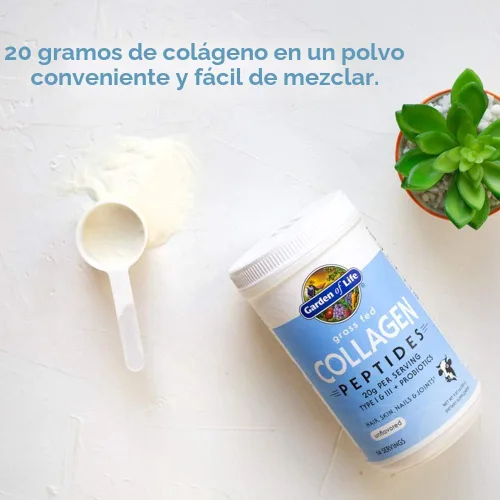 Miniatura 8 de Garden of Life Péptidos de Colágeno en Polvo de Ganado Alimentado con Pasto Sin Sabor, Polvo de Colágeno para Mujeres y Hombres, Cabello, Piel