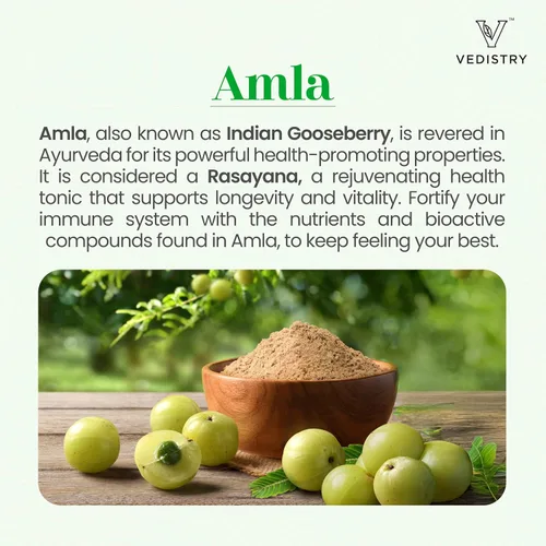 Miniatura 2 de Vedistry Amla Supplement - Tableta de grosella espinosa india de 1100 mg con pimienta larga para inmunidad y energía, suplemento de hierbas rico