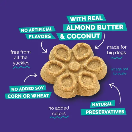 Miniatura 5 de Fruitables Biggies Galletas para Perros, Golosinas de Calabaza para Perros, Galletas Saludables para Perros, Golosinas Crujientes, Sin Trigo, Maíz