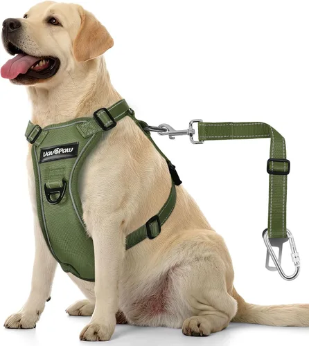 Miniatura 19 de VavoPaw cinturón de seguridad para perro, arnés de coche con peto de seguridad y hebilla ajustable para vehículo, cinturón de seguridad de nailon