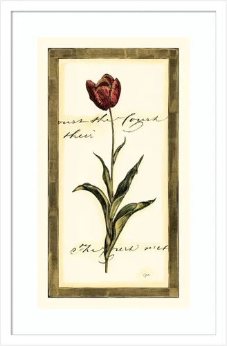 Amanti Art Impresión artística enmarcada para pared, 17 x 25 pulgadas, diseño de tulipán I de Vision Studio, póster enmarcado para decoración de