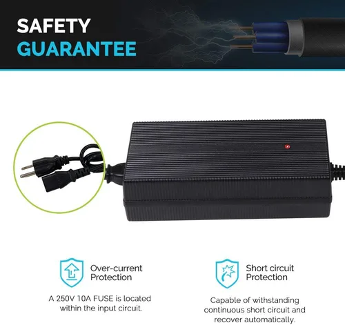 Miniatura 2 de Renogy Cargador de batería de litio de 12 V y 20 A, cargador inteligente impermeable IP67 con conector Anderson y activación BMS para LiFePO4