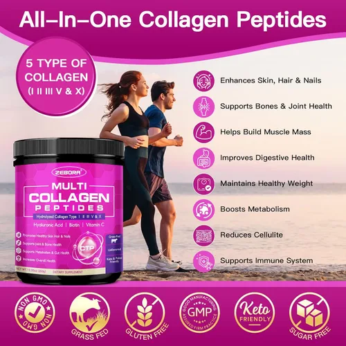 Miniatura 3 de ZEBORA Polvo de péptidos de colágeno múltiple – Colágeno hidrolizado tipo I II III V X con ácido hialurónico, vitamina C, MCT, probióticos – Apoya
