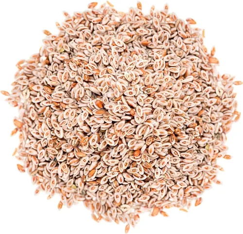 Miniatura 3 de Semillas de psyllium enteras orgánicas, 8 onzas, sin OMG, veganas, kosher, aptas para dieta cetogénica, crudas, a granel, ricas en hierro, espesante