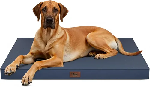 Miniatura 68 de Cama ortopédica de felpa para perros y cachorros medianos, camas impermeables para perros de 30 x 20 pulgadas con funda extraíble lavable, tapete