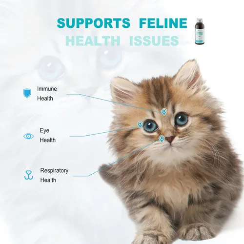 Miniatura 4 de Suplemento líquido de apoyo inmunológico para gatos, fórmula de L-lisina para gatos, 3.38 onzas L-lisina, astrágalo y vitaminas, apoya la salud
