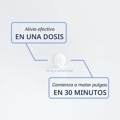 Miniatura 6 de PetArmor CAPACTION (nitenpiram) Tratamiento oral contra pulgas para perros, tabletas de acción rápida comienzan a matar en 30 minutos, tratamiento