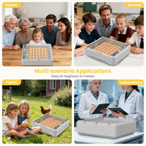 Miniatura 7 de Incubadora de huevos de 36-60 con giro automático de huevos y control de humedad, incubadora de huevos de pollo ajustable con pantalla digital