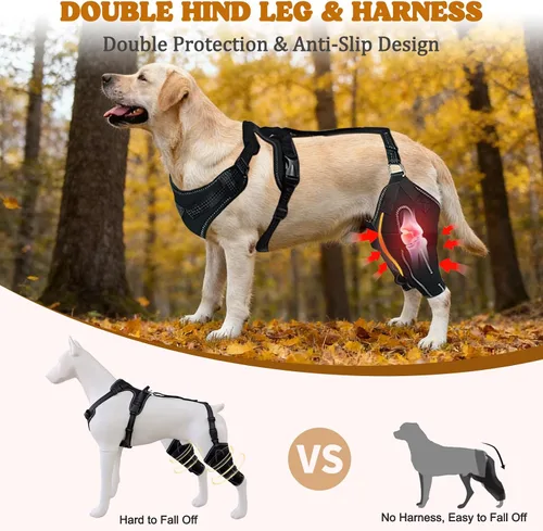 Miniatura 4 de Rodilleras de perro para la pierna trasera, tirantes ajustables para piernas de perro para desgarro de ligamento cruzado anterior