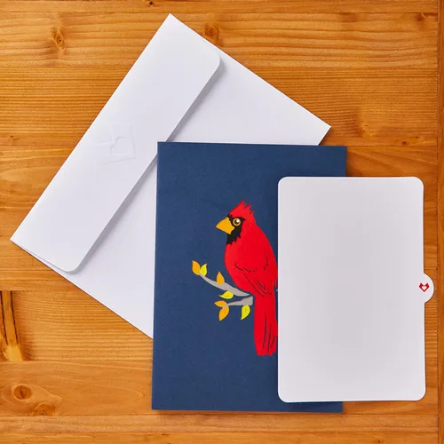 Miniatura 7 de Lovepop Tarjeta Desplegable Diaria para Ella y Él - Tarjetas de Felicitación 3D Pensando en Ti para Niños, Niñas, Hombres, Mujeres - 5" x 7" Cardenal