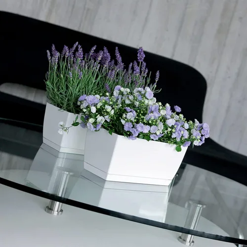 Miniatura 2 de Prosper Plast Coubi Box Planter, 29 x 14.2 x 13.6 cm, White, 29x14.2x13.6 cm