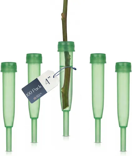 Miniatura 12 de Royal Imports Tubos de Agua Florales con Tapas – Viales de Flores de Plástico Verde de 2.5" para Rosas de Tallo Individual, Brotes, Ramos