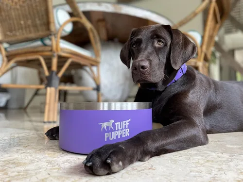 Miniatura 8 de Tuff Pupper Cuenco de acero inoxidable aislado resistente de 100 onzas para perros grandes, base antideslizante, apto para lavavajillas Púrpura Royal