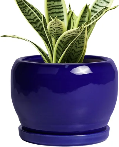 Miniatura 38 de SQOWL Macetas de cerámica – Maceta de 6 pulgadas con orificio de drenaje y bandeja, maceta redonda para plantas de interior, maceta decorativa