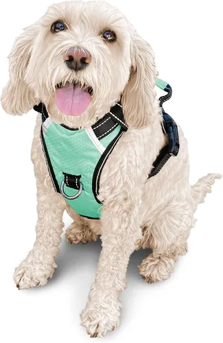 Miniatura 28 de Arnés antitirones para perro pequeño con 2 hebillas de liberación rápida y mango de fácil control, chaleco suave reflectante sin estrangulamiento
