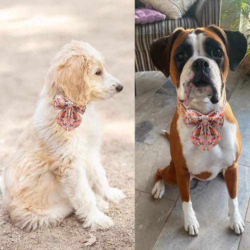 Miniatura 5 de Unique Style Paws - Collar para perros con lazo rosa ajustable, collares de cachorro para mascotas, para perros y gatos pequeños, medianos y grandes