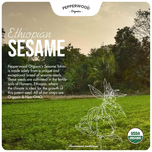 Miniatura 6 de Pasta de Tahini de Sésamo Integral Orgánica – Sin Descascarillar y Molida en Piedra – Textura Sedosa y Suave en Hummus, Salsas, Aderezos – Sin Sal