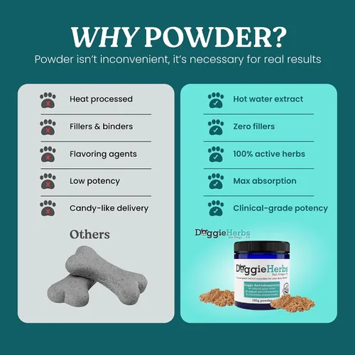 Miniatura 4 de Apoyo antiinflamatorio natural – Mezcla de corydalis, curcumina y cúrcuma de grado clínico – Polvo formulado por médicos TCM para rigidez, dolores