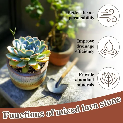 Miniatura 4 de Sukh Rocas Horticulturales para Suculentas de 2 Libras Mezcla de Bonsái Mezcla para Macetas de Suculentas Rocas de Lava Mezcla para Macetas