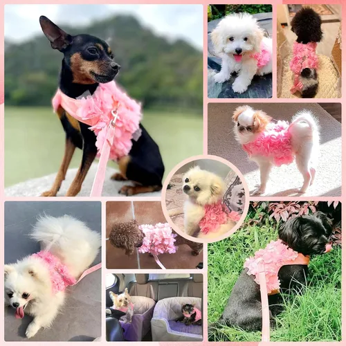 Miniatura 5 de Lindo arnés y correa para perros pequeños, arnés de encaje rosa floral para cachorros para perros pequeños, gatos, malla suave, chaleco para perro