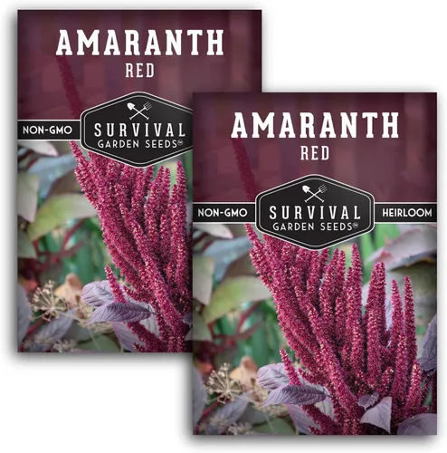Miniatura 11 de Semillas de amaranto rojo para plantar, verduras de hoja verde comestible y variedad de granos, microgreens de rápido crecimiento o cosecha