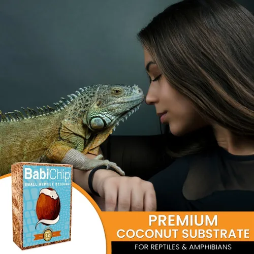 Miniatura 6 de BabiChip - Sustrato de chips de coco para reptiles, 12 cuartos de galón, ropa de cama suelta de tamaño pequeño para pitones de bola, otras