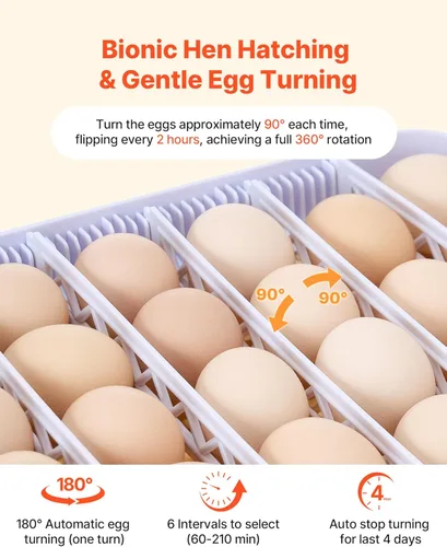 Miniatura 4 de VEVOR Incubadora de 48 huevos, incubadora automática con volteador de huevos y vela LED, pantalla de temperatura y control automático de humedad