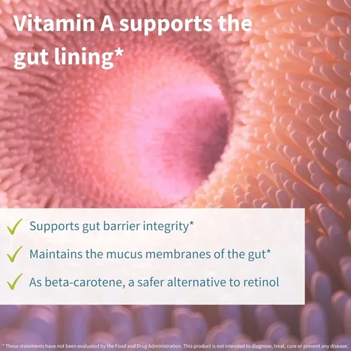 Miniatura 5 de Probióticos y prebióticos Igennus, Lactobacillus acidophilus y bifidobacterias, Live Cultures+ Lab4, garantizado 25 mil millones de UFC