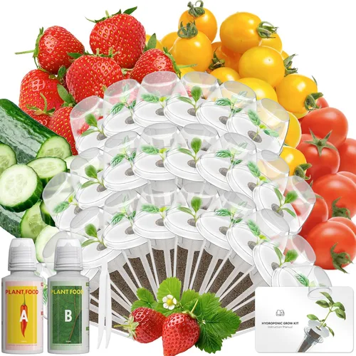Miniatura 11 de Kit de cápsulas de semillas de hierbas gourmet compatible con AeroGarden, idoo, Ahopegarden, Gardencube con albahaca, perejil, tomillo, menta