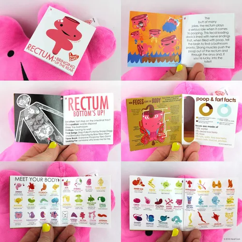 Miniatura 8 de I Heart Guts Rectum Plush – Lindo juguete educativo de órgano para hemorroides y cirugía colorrectal – Divertido regalo de recuperación
