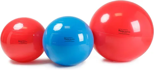 Miniatura 6 de Gymnic Physio Exercise Ball