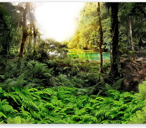 Miniatura 16 de artgeist Mural de pared Cascada de 116 x 83 pulgadas - Papel tapiz autoadhesivo extraíble de gran tamaño para decoración de pared, diseño de #06