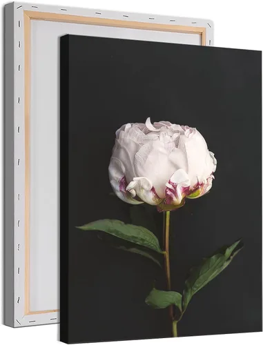 Miniatura 9 de Lienzo de diente de león en blanco y negro, diseño vintage de diente de león, póster de plantas en blanco y negro, pintura de lienzo de flores