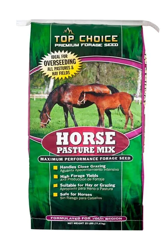 Mountain View Seed s 100371 - Mezcla de semillas de pasto para caballos, 25 libras