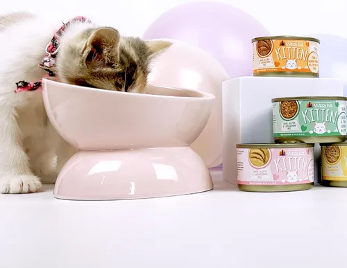 Miniatura 9 de Weruva Fórmula de gatito, pollo y atún en salsa, lata de 3 onzas (paquete de 12)